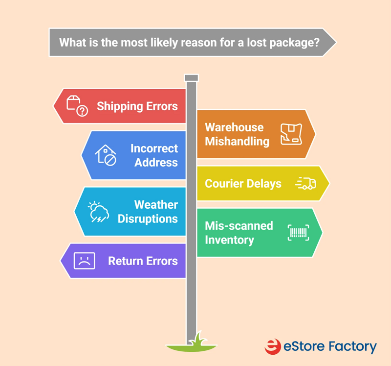 Common reasons for Amazon's lost packages?
