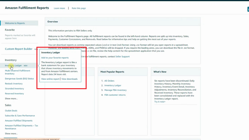 Amazon Inventory Ledger report overview page